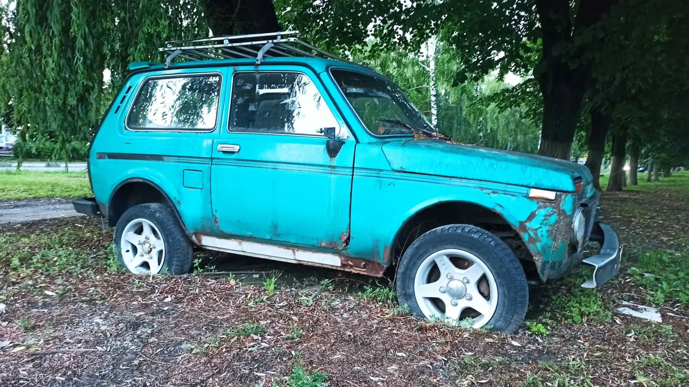 Для фанатов Niva нашлось уникальное предложение: редкая модель «Кедр»  выставлена на продажу